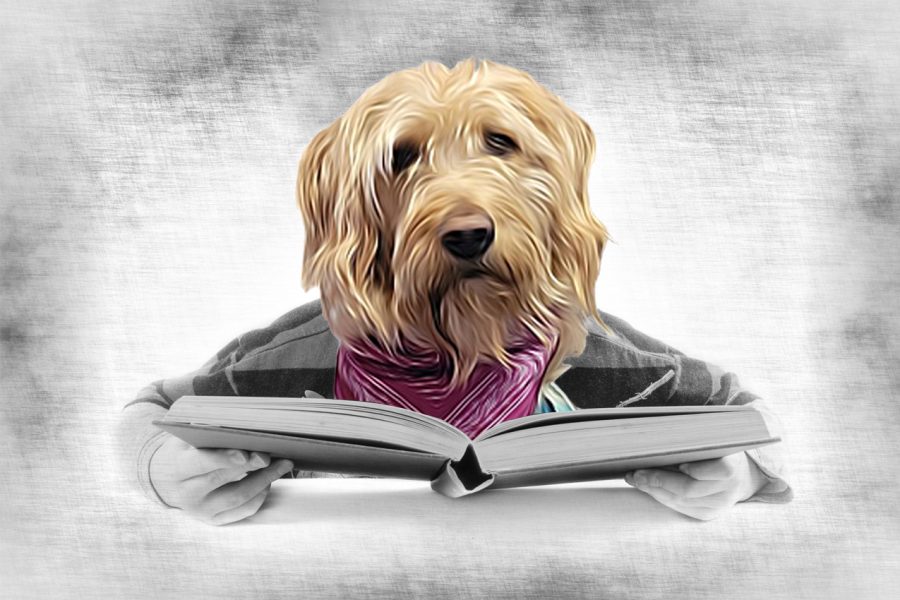 Vorlesehund