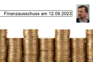 Finanzausschuss