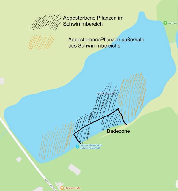 Umweltausschuss