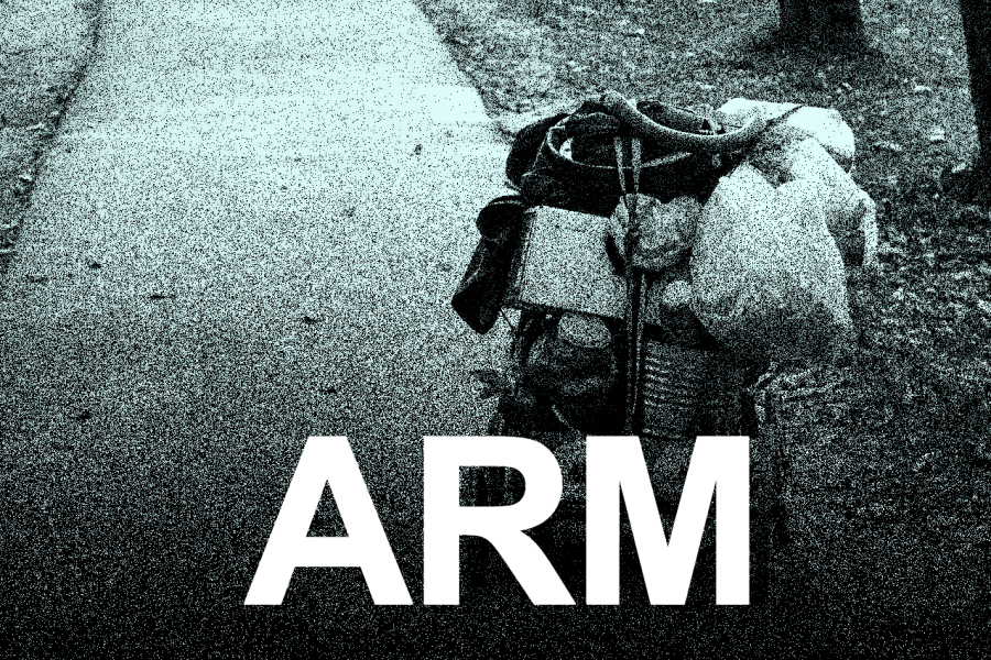 Arm